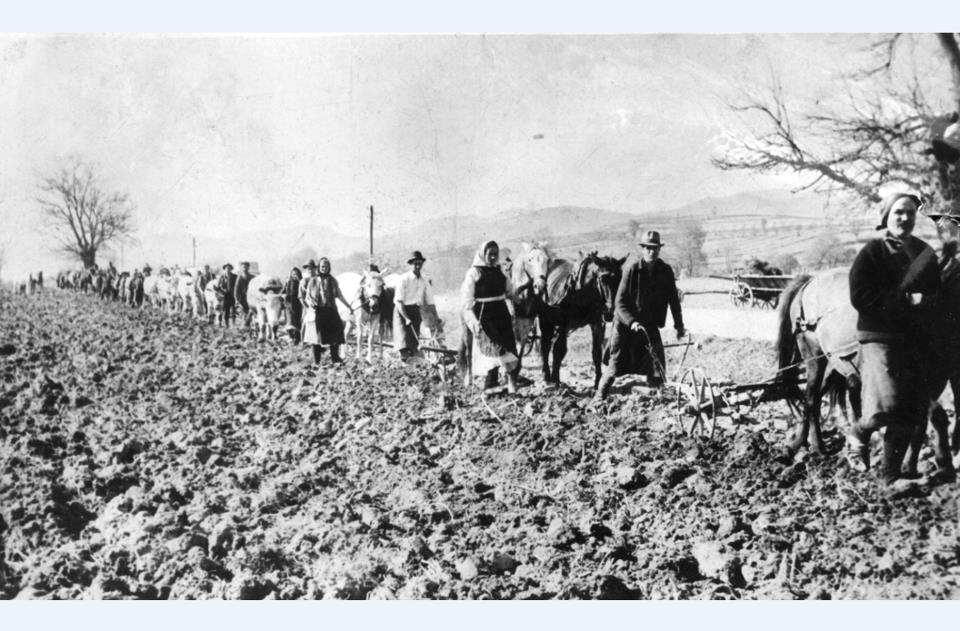 Țărani din Bozovici lucrând pământul în timpul colectivizării, în 1956